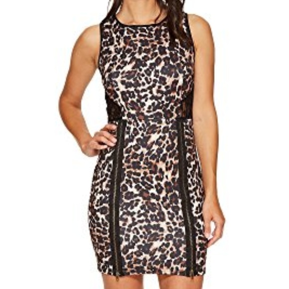 Romeo & Juliet Couture Dresses & Skirts - NWT Romeo+Juliet Couture Animal Pt Lace Bk Dress